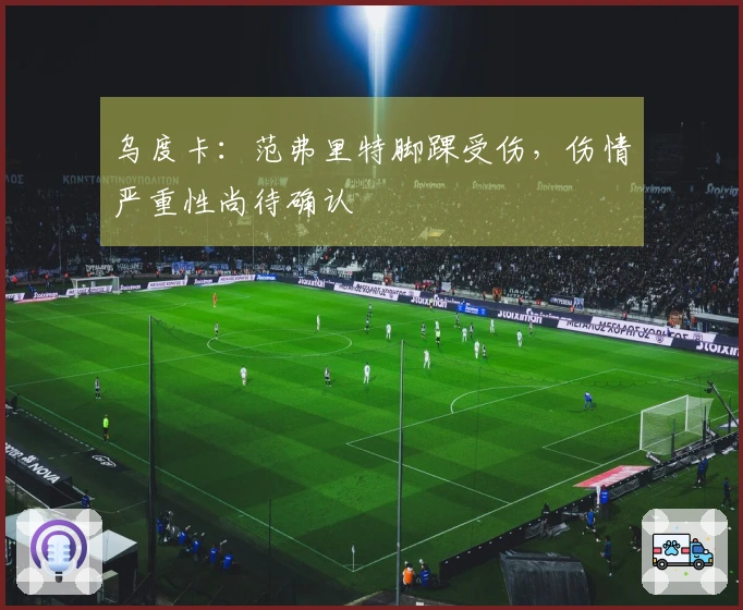 乌度卡：范弗里特脚踝受伤，伤情严重性尚待确认