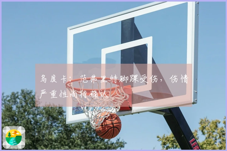 乌度卡：范弗里特脚踝受伤，伤情严重性尚待确认