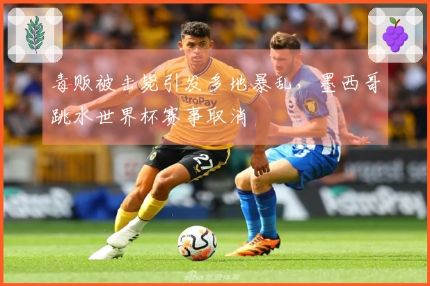 毒贩被击毙引发多地暴乱，墨西哥跳水世界杯赛事取消